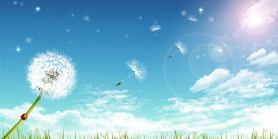 點擊可回首頁 404幸福園地