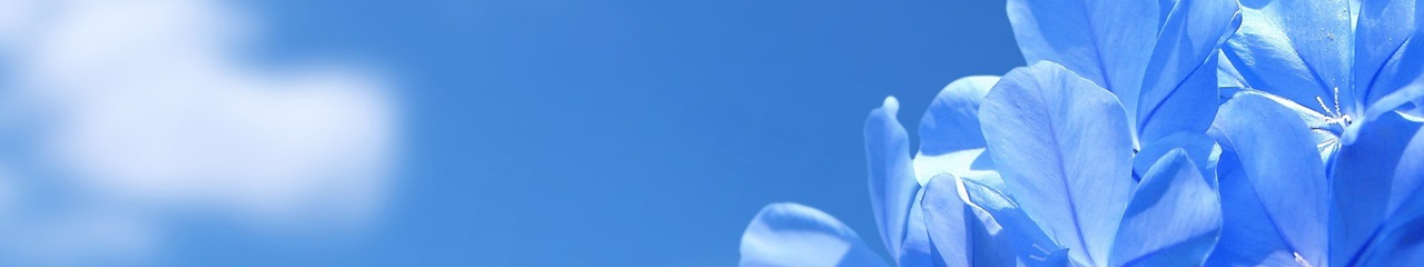 Web Title:永順107