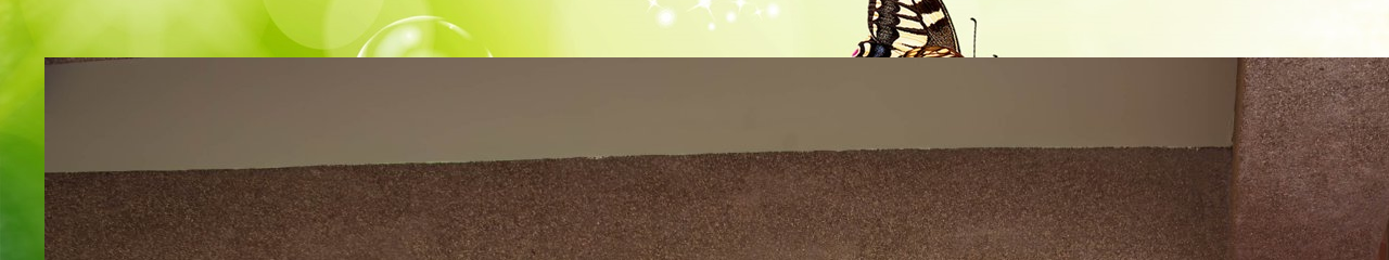 Web Title:李文鳳